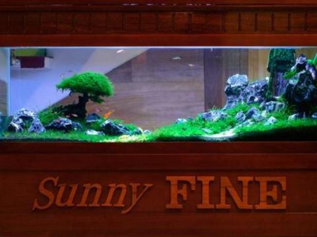 Sunny Fine Guesthouse Hue Buitenkant foto